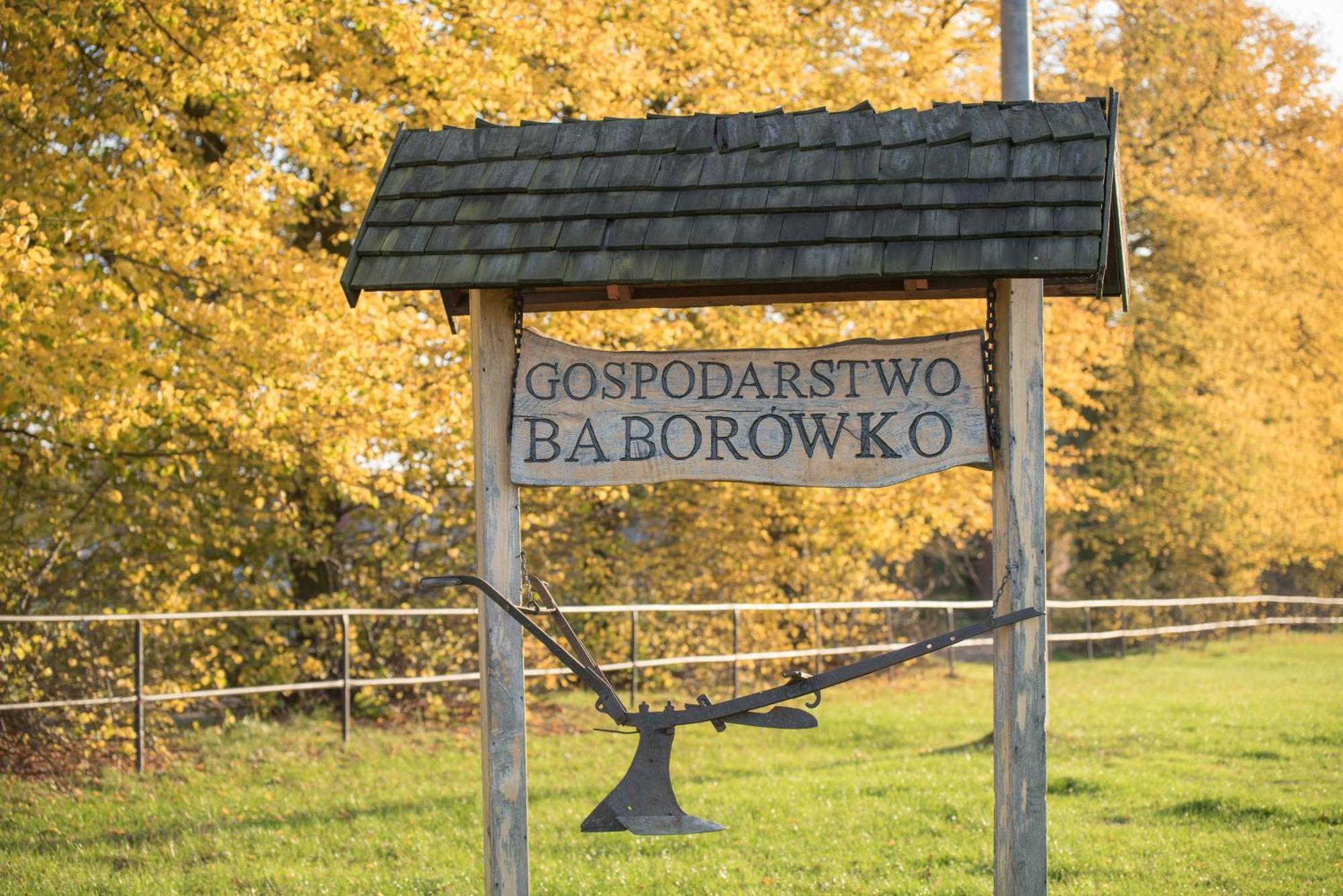 Palac Baborowko Szamotuły 외부 사진